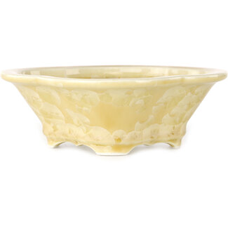  Heian Senzan Maceta para bonsái de 170 mm en color blanco roto con esmaltado de cristal de Heian Senzan, Tokoname, Japón