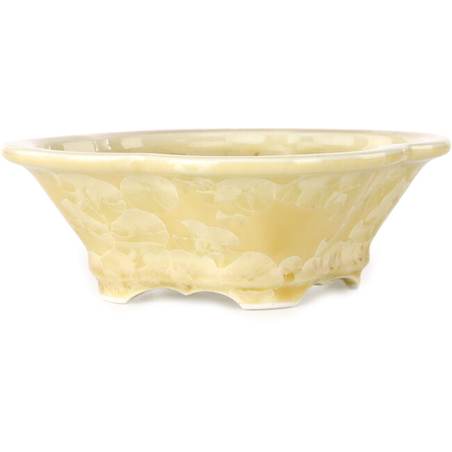 Mokko off-white, crystal glaze bonsai pot by Heian Senzan - 170 x 160 x 58 mm