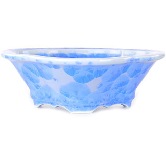  Heian Senzan Vaso per bonsai mokko azzurro chiaro da 170 mm, smaltato in cristallo, di Heian Senzan, Tokoname, Giappone