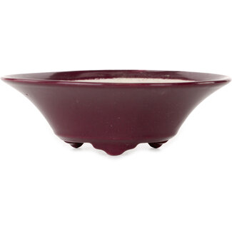Seifu Vaso bonsai rotondo bordeaux da 120 mm di Seifu, Giappone