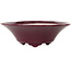 Pot à bonsaï rond bordeaux de Seifu - 120 x 120 x 40 mm