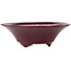 Round burgundy bonsai pot by Seifu - 120 x 120 x 40 mm
