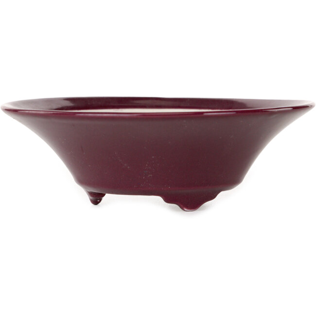 Pot à bonsaï rond bordeaux de Seifu - 120 x 120 x 40 mm