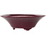Pot à bonsaï rond bordeaux de Seifu - 120 x 120 x 40 mm