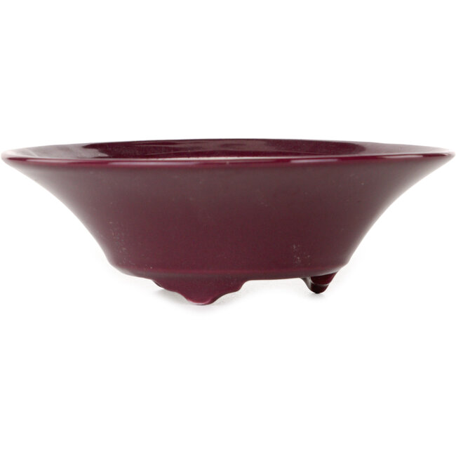 Pot à bonsaï rond bordeaux de Seifu - 120 x 120 x 40 mm