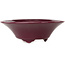 Pot à bonsaï rond bordeaux de Seifu - 120 x 120 x 40 mm