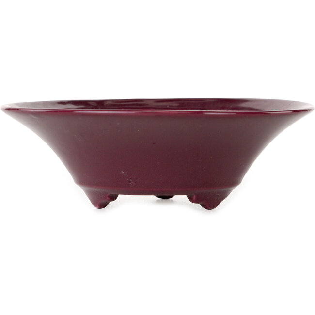 Pot à bonsaï rond bordeaux de Seifu - 120 x 120 x 40 mm