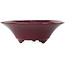Ronde bordeauxrode bonsaipot van Seifu - 120 x 120 x 40 mm