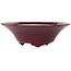 Ronde auberginekleurige bonsaipot van Seifu - 120 x 120 x 40 mm