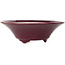 Round aubergine bonsai pot by Seifu - 120 x 120 x 40 mm