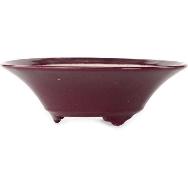 Pot à bonsaï rond bordeaux de Seifu - 120 x 120 x 40 mm