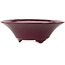 Pot à bonsaï rond bordeaux de Seifu - 120 x 120 x 40 mm
