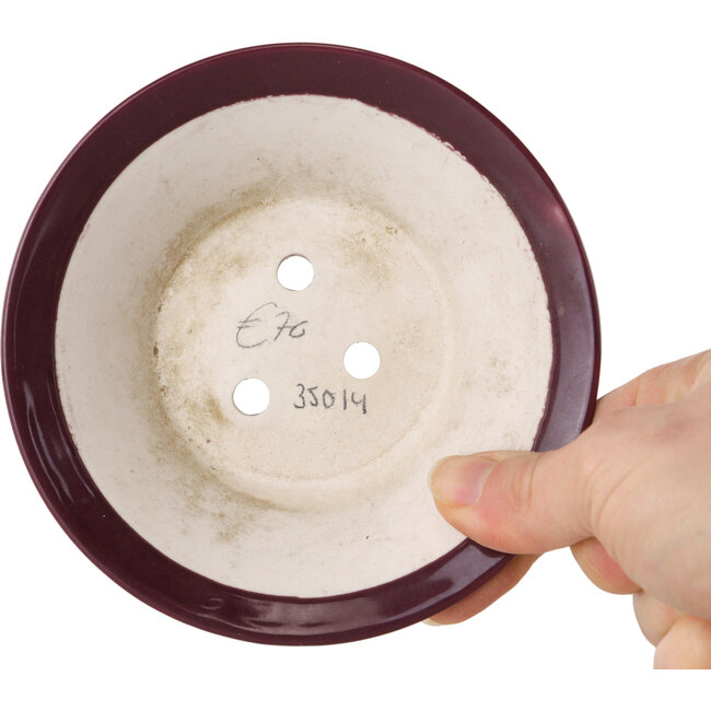 Pot à bonsaï rond en forme d'aubergine de Seifu - 120 x 120 x 40 mm