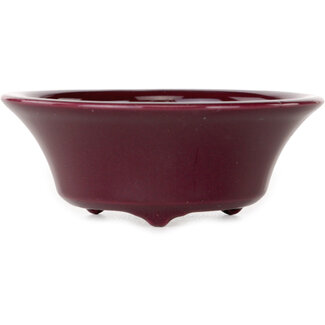 Seifu Pot à bonsaï rond de 85 mm pour aubergine, de la marque Seifu, Japon.