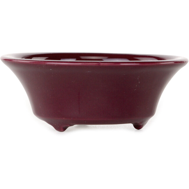 Pot à bonsaï rond bordeaux de Seifu - 85 x 85 x 35 mm