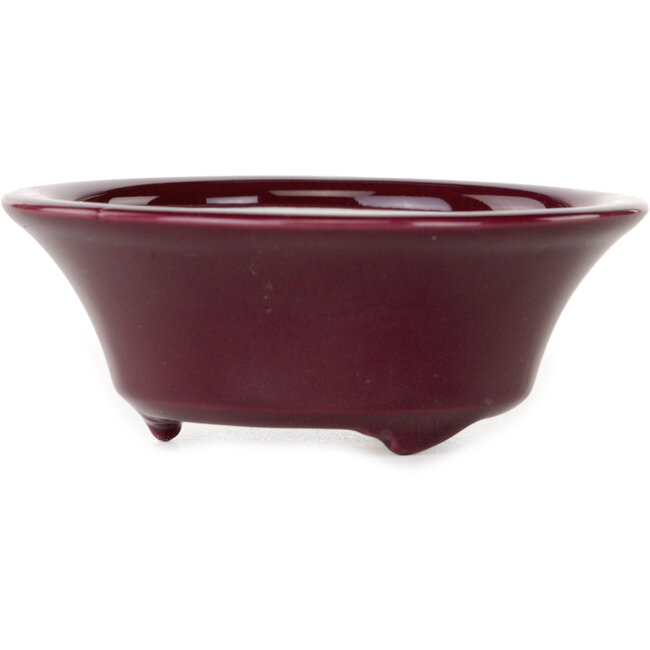 Pot à bonsaï rond bordeaux de Seifu - 85 x 85 x 35 mm