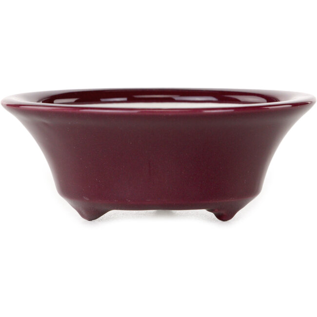 Round burgundy bonsai pot by Seifu - 85 x 85 x 35 mm