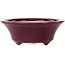 Pot à bonsaï rond bordeaux de Seifu - 85 x 85 x 35 mm