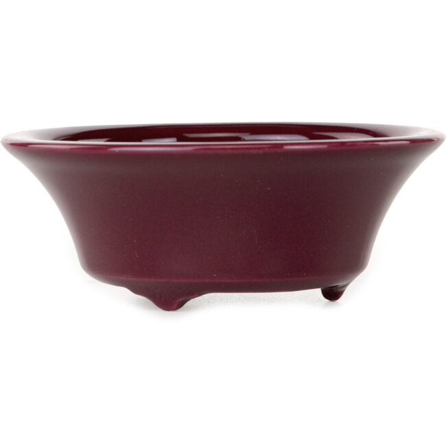 Pot à bonsaï rond bordeaux de Seifu - 85 x 85 x 35 mm