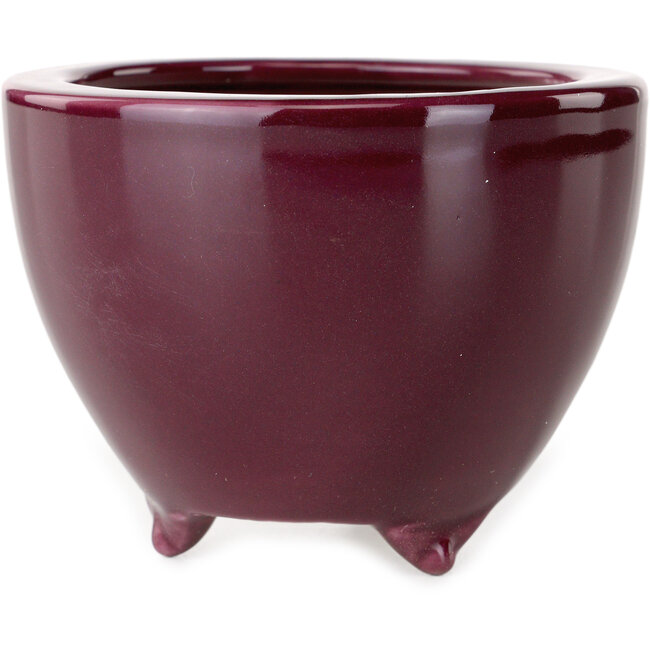 Maceta redonda para bonsái color burdeos de Seifu - 87 x 87 x 68 mm