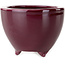 Pot à bonsaï rond bordeaux de Seifu - 87 x 87 x 68 mm