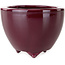 Ronde bordeauxrode bonsaipot van Seifu - 87 x 87 x 68 mm
