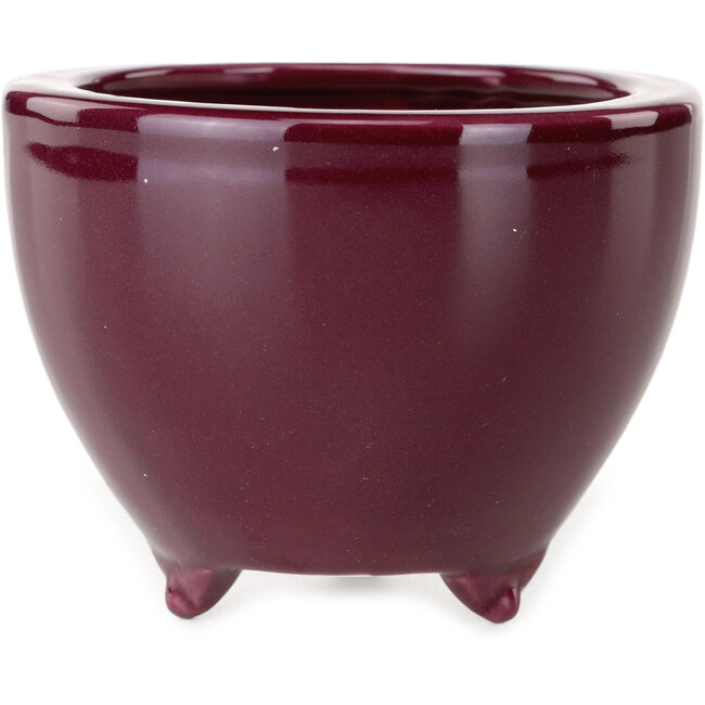 Round aubergine bonsai pot by Seifu - 87 x 87 x 68 mm