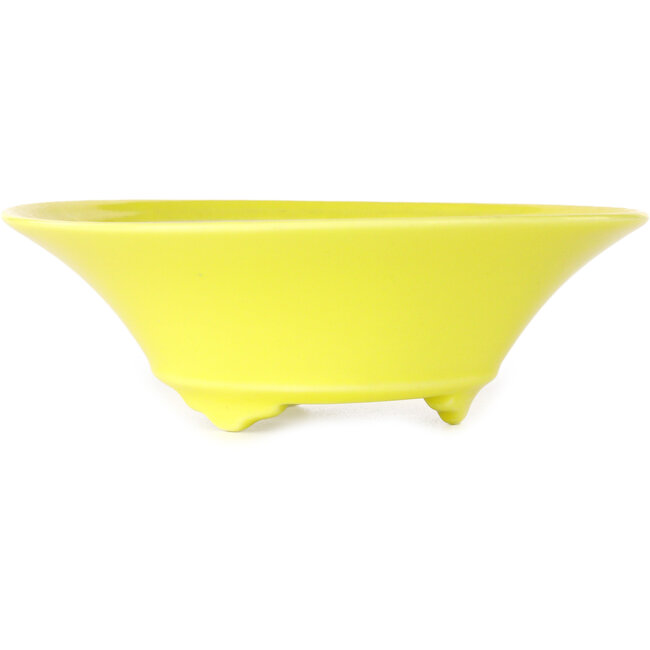 Maceta redonda amarilla para bonsái de Seifu - 118 x 118 x 38 mm