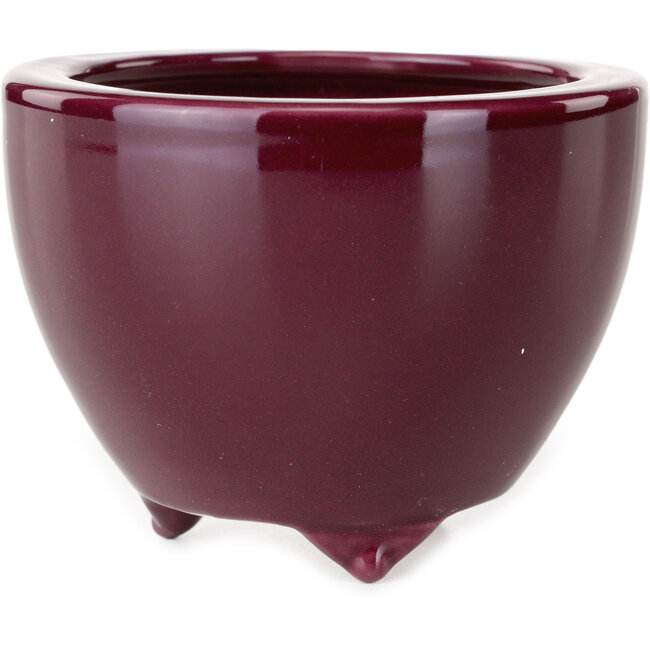 Maceta redonda para bonsái de berenjena de Seifu - 87 x 87 x 68 mm