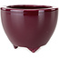 Round aubergine bonsai pot by Seifu - 87 x 87 x 68 mm