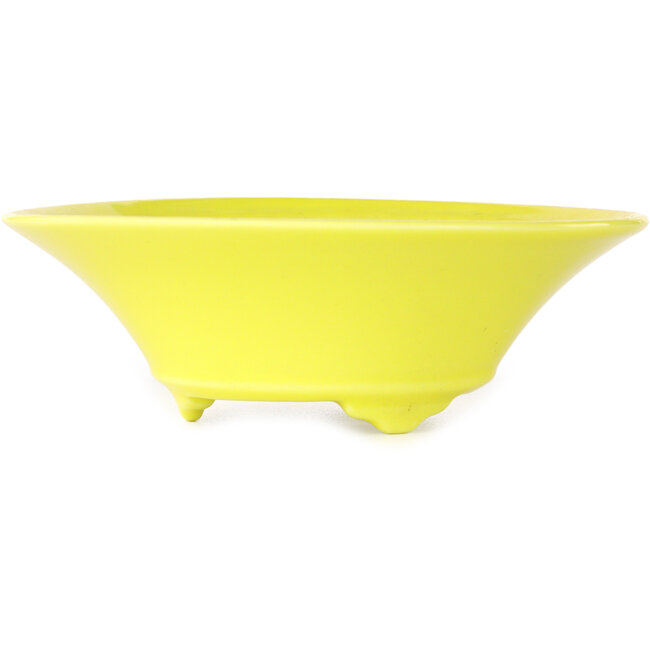 Pot à bonsaï rond jaune de Seifu - 118 x 118 x 38 mm