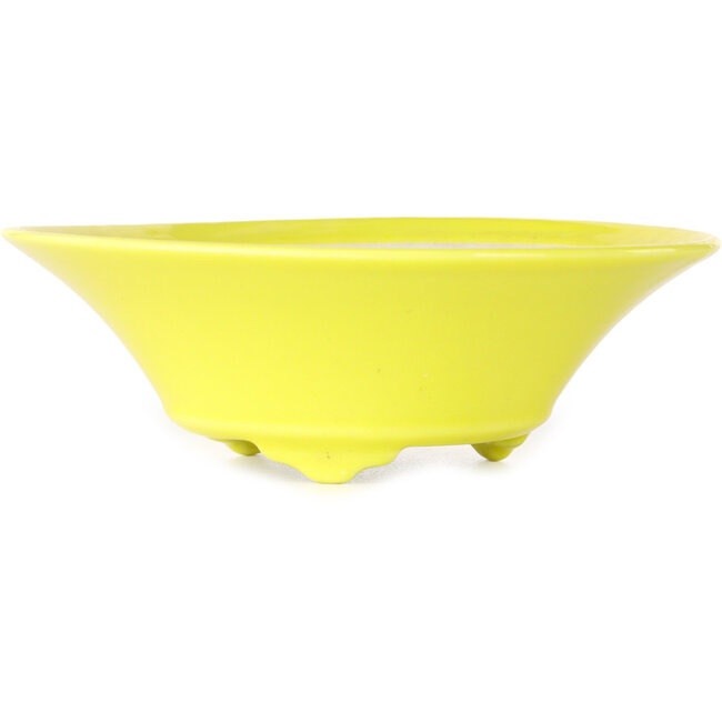 Ronde gele bonsaipot van Seifu - 118 x 118 x 38 mm