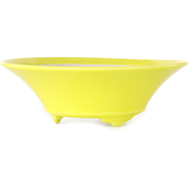 Pot à bonsaï rond jaune de Seifu - 118 x 118 x 38 mm