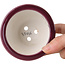 Vaso bonsai rotondo color bordeaux di Seifu - 87 x 87 x 68 mm