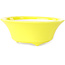 Vaso bonsai rotondo giallo di Seifu - 85 x 85 x 35 mm