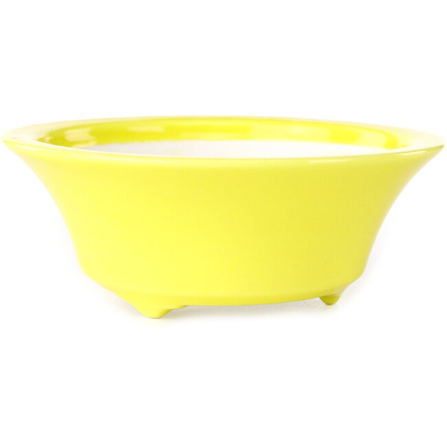 Vaso bonsai rotondo giallo di Seifu - 85 x 85 x 35 mm