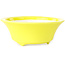 Round yellow bonsai pot by Seifu - 85 x 85 x 35 mm