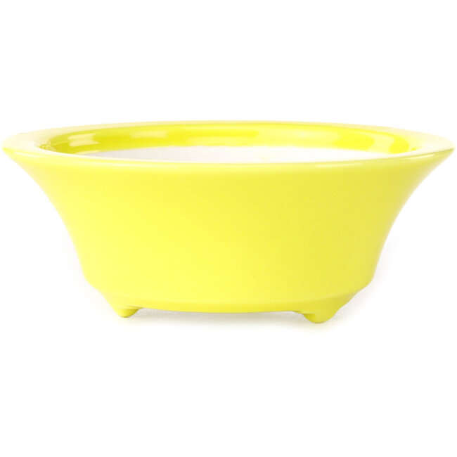 Vaso bonsai rotondo giallo di Seifu - 85 x 85 x 35 mm