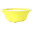 Pot à bonsaï rond jaune de Seifu - 85 x 85 x 35 mm