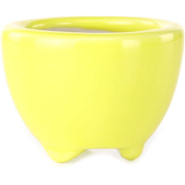 Round yellow bonsai pot by Seifu - 58 x 58 x 43 mm