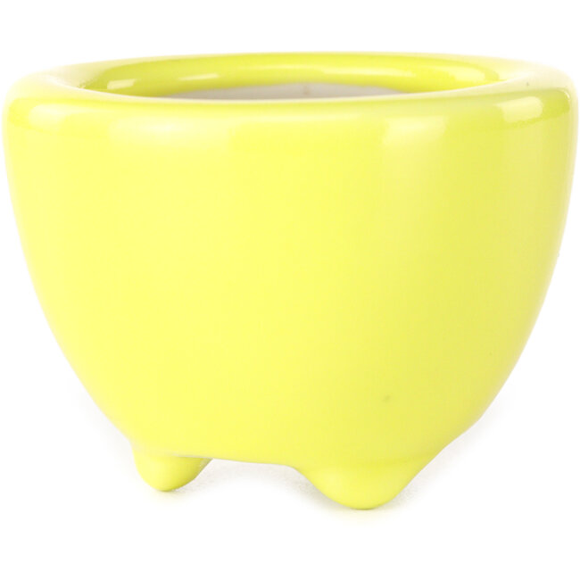 Pot à bonsaï rond jaune de Seifu - 58 x 58 x 43 mm