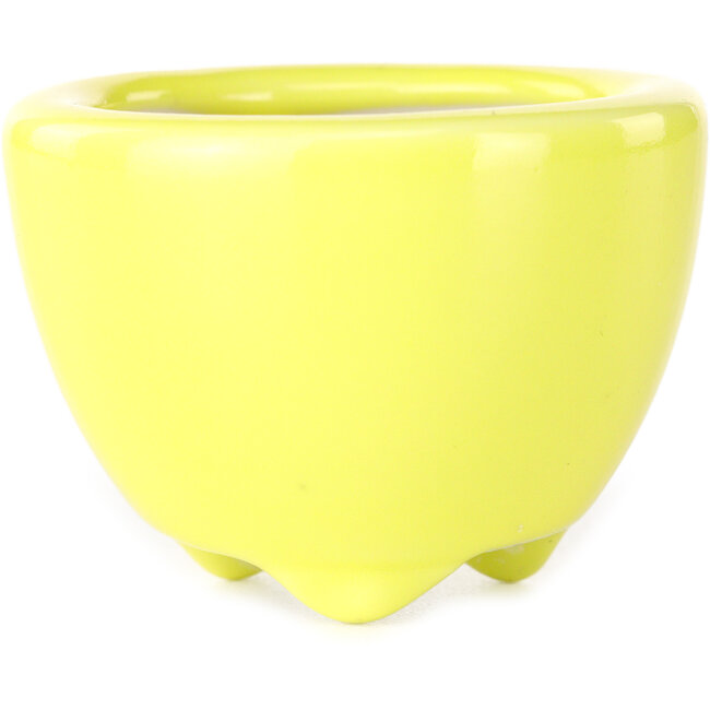 Pot à bonsaï rond jaune de Seifu - 58 x 58 x 43 mm