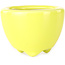 Round yellow bonsai pot by Seifu - 58 x 58 x 43 mm