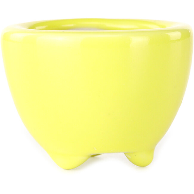 Round yellow bonsai pot by Seifu - 58 x 58 x 43 mm