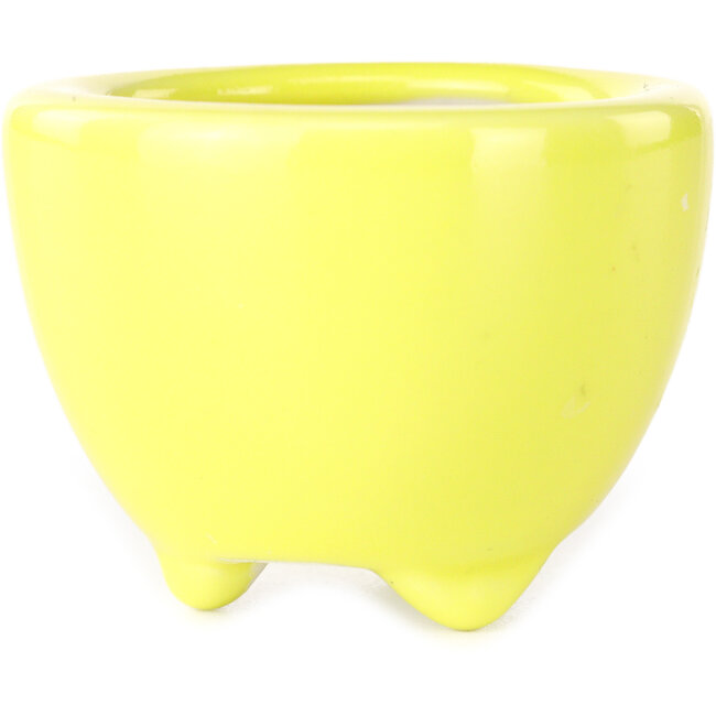 Round yellow bonsai pot by Seifu - 58 x 58 x 43 mm