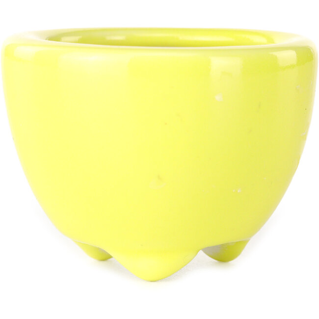 Pot à bonsaï rond jaune de Seifu - 58 x 58 x 43 mm
