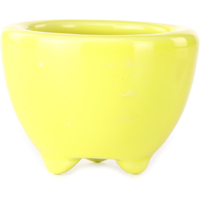 Pot à bonsaï rond jaune de Seifu - 58 x 58 x 43 mm