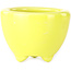 Maceta redonda amarilla para bonsái de Seifu - 58 x 58 x 43 mm