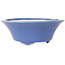 Round blue bonsai pot by Seifu - 120 x 120 x 48 mm