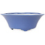 Runder blauer Bonsai-Topf von Seifu – 120 x 120 x 48 mm